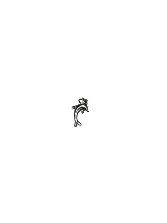 Dolphin